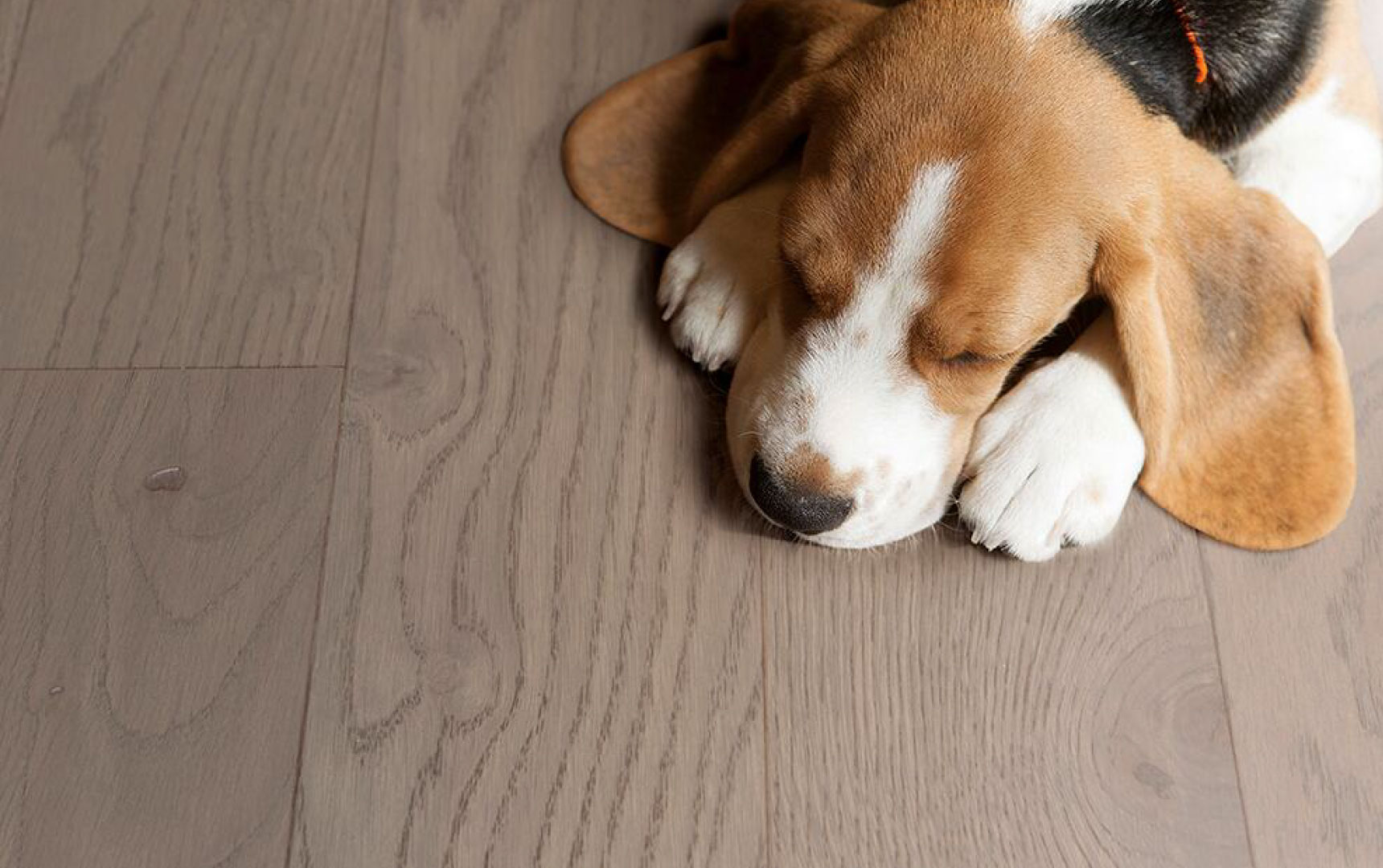 得高實(shí)木復(fù)合地板從“地”開始 圖片24